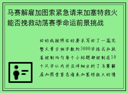 马赛解雇加图索紧急请来加塞特救火能否挽救动荡赛季命运前景挑战 马赛解雇加图索紧急请来加塞特救火能否挽救动荡赛季命运前景挑战